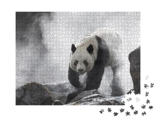 Puzzle de 1000 pièces « Grand panda dans le brouillard »