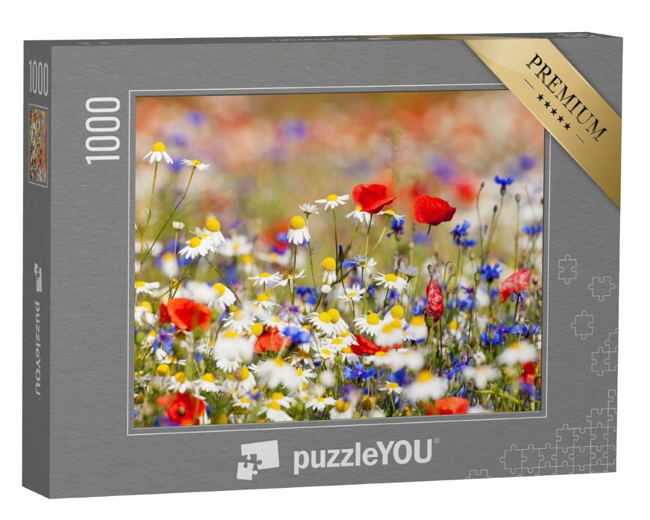Puzzle de 1000 pièces « Fleurs sauvages en fleur dans la prairie au printemps »
