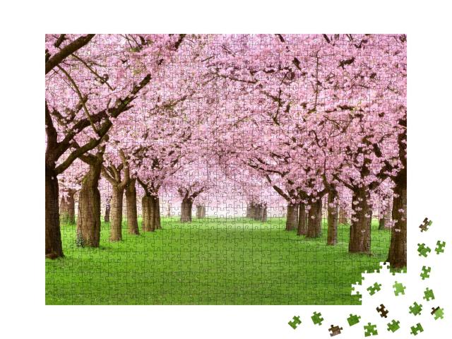 Puzzle de 1000 pièces « Jardin d'agrément avec des cerisiers en fleurs majestueux sur une pelouse verte et fraîche »