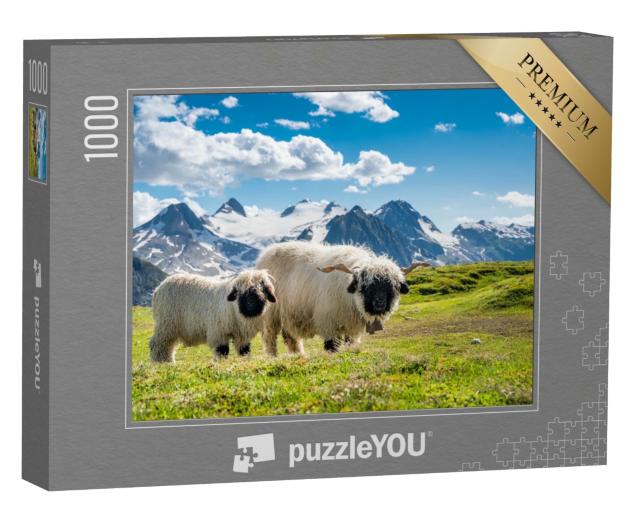 Puzzle de 1000 pièces « Moutons à nez noir du Valais au col du Nufenen en Valais »