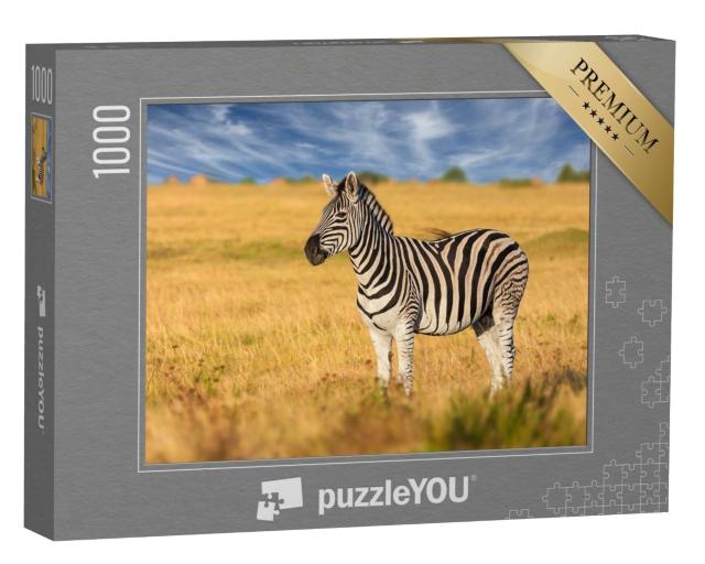 Puzzle de 1000 pièces « Un zèbre attentif dans la savane »