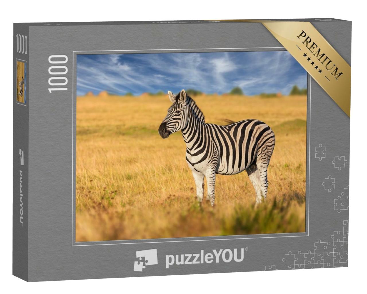 Puzzle de 1000 pièces « Un zèbre attentif dans la savane »
