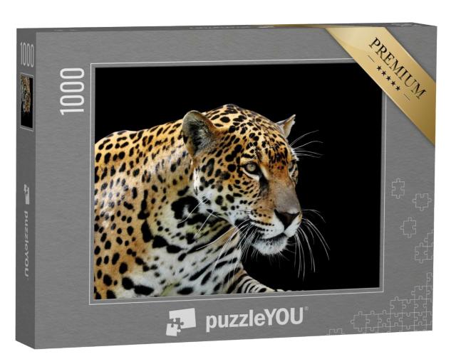 Puzzle de 1000 pièces « Beau léopard »