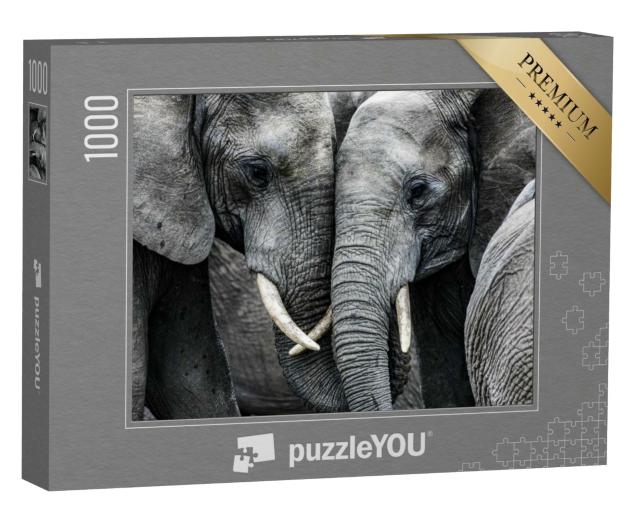 Puzzle de 1000 pièces « Éléphants »