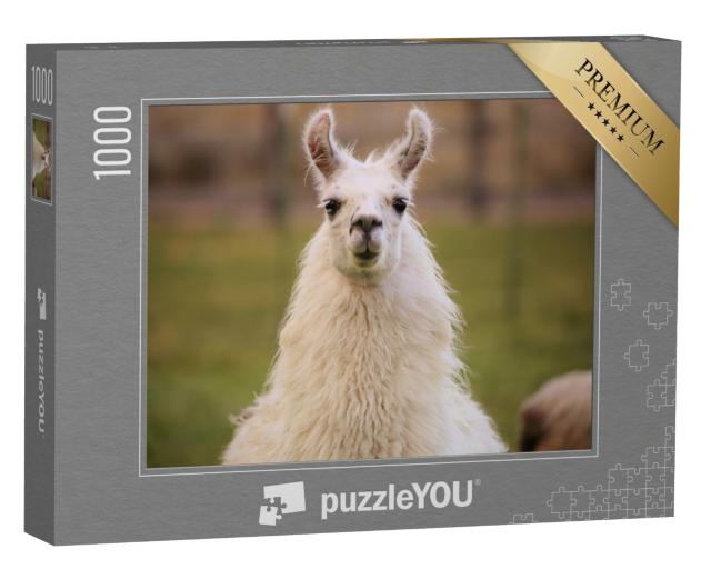 Puzzle de 1000 pièces « Llama »
