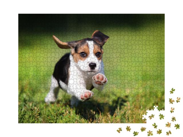 Puzzle de 1000 pièces « Un chiot beagle dans l'herbe »