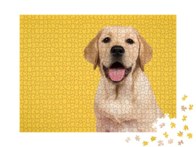 Puzzle de 1000 pièces « Portrait d'un labrador retriever doré »