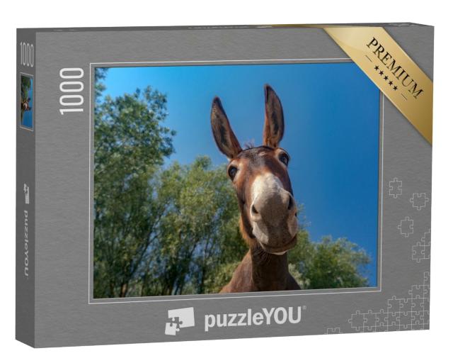 Puzzle de 1000 pièces « Gros plan sur la tête d'un âne »
