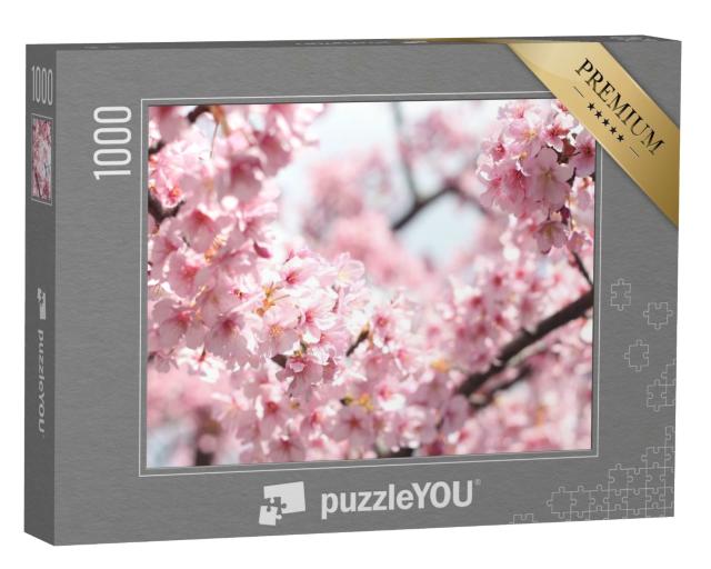 Puzzle de 1000 pièces « Magnifiques fleurs de cerisier roses, Tokyo, Japon »