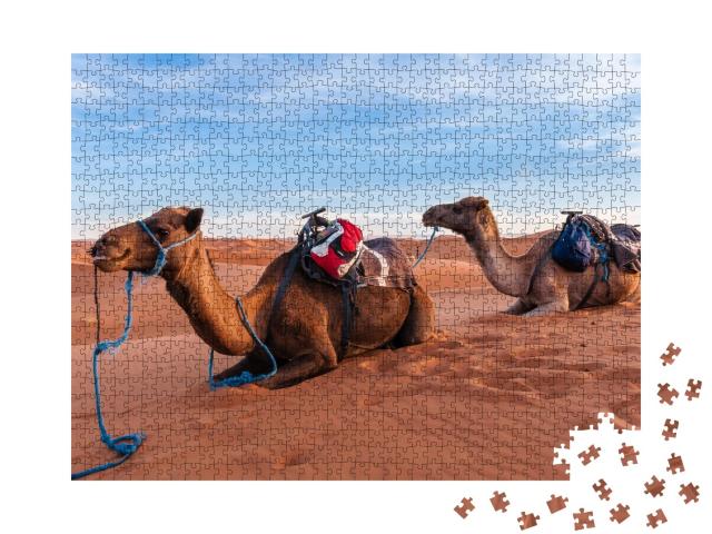 Puzzle de 1000 pièces « Caravane de chameaux dans le Sahara marocain »