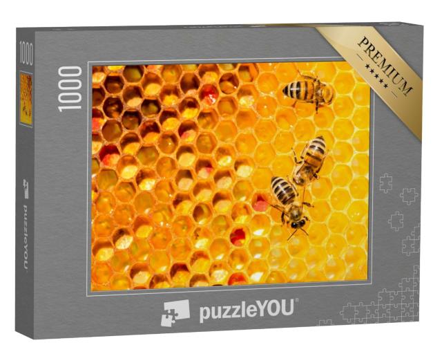 Puzzle de 1000 pièces « Gros plan d'abeilles sur un nid d'abeilles »
