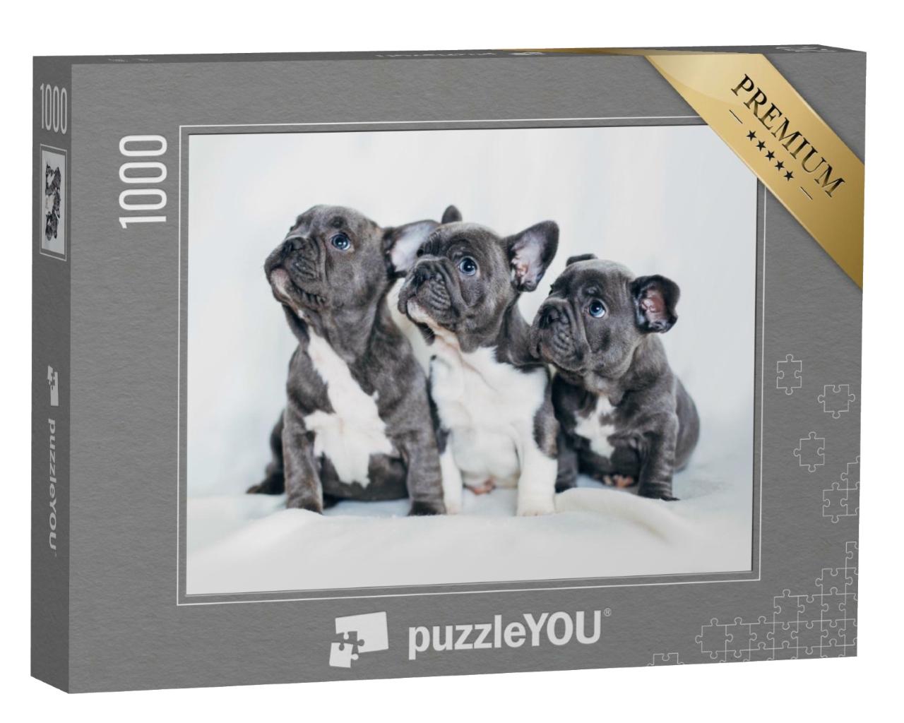 Puzzle de 1000 pièces « Portrait de trois adorables chiots bouledogues »