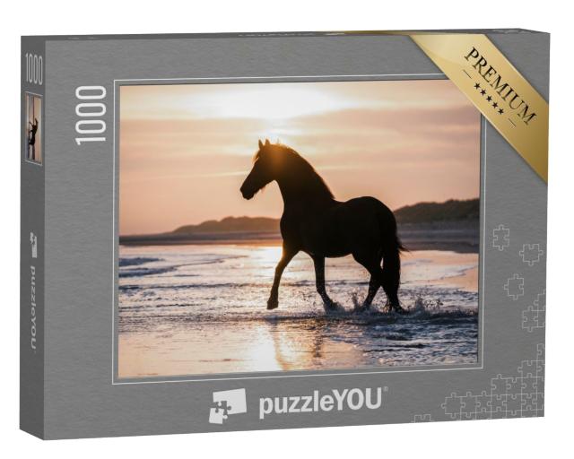 Puzzle de 1000 pièces « Cheval noir trottant librement sur la plage contre la lumière du soir »