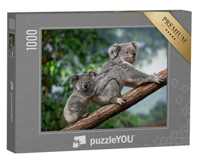 Puzzle de 1000 pièces « Koala femelle avec son petit »