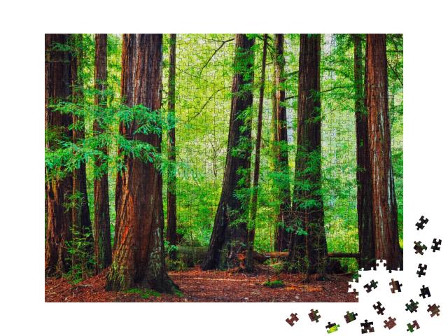 Puzzle de 1000 pièces « Séquoias, forêt tropicale du nord-ouest »