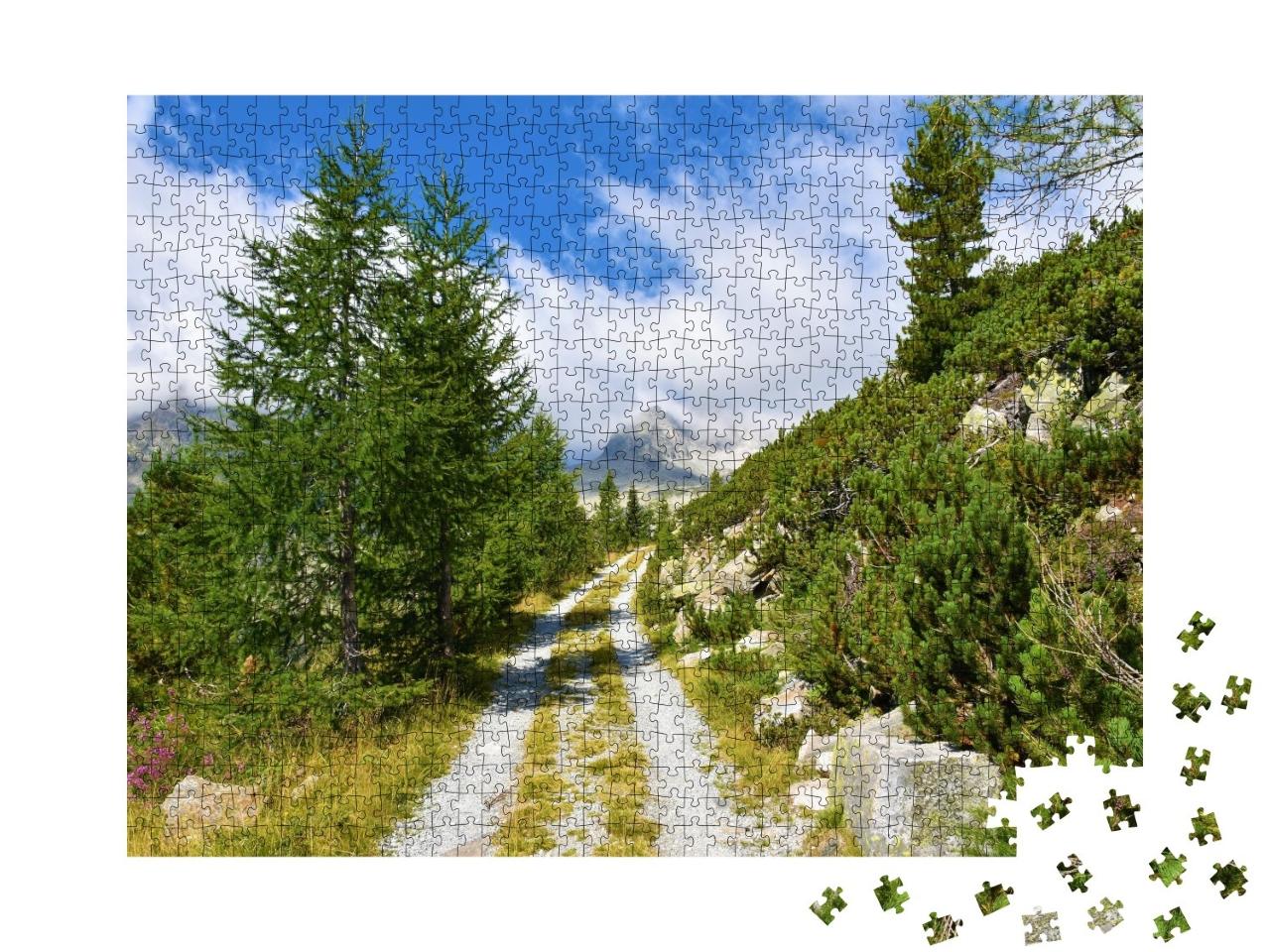 Puzzle de 1000 pièces « Route de terre »