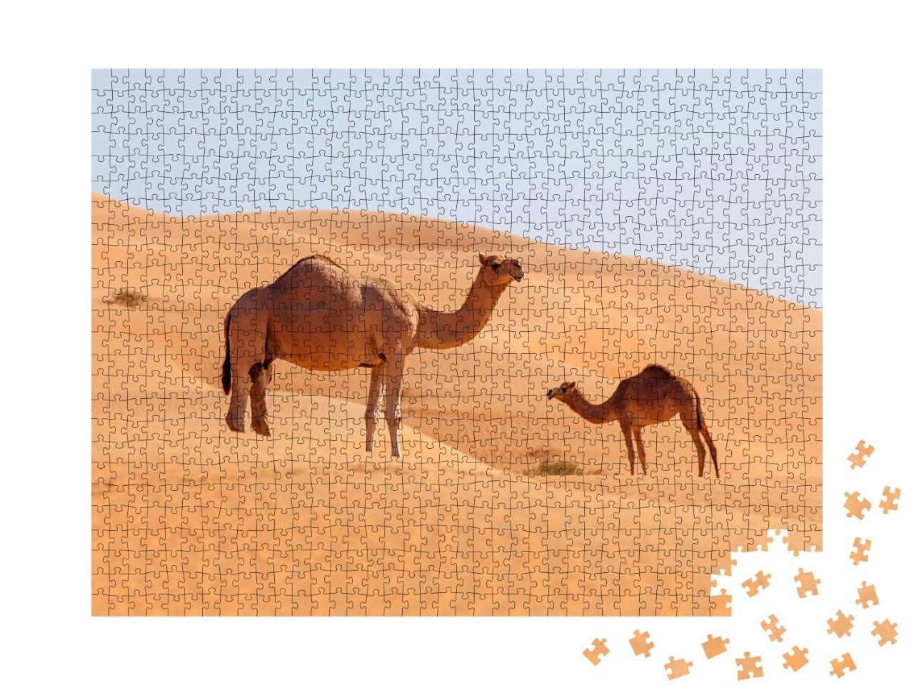 Puzzle de 1000 pièces « Une maman chameau et son petit dans un désert du Proche-Orient »