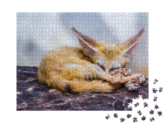 Puzzle de 1000 pièces « Petit renard fennec endormi »