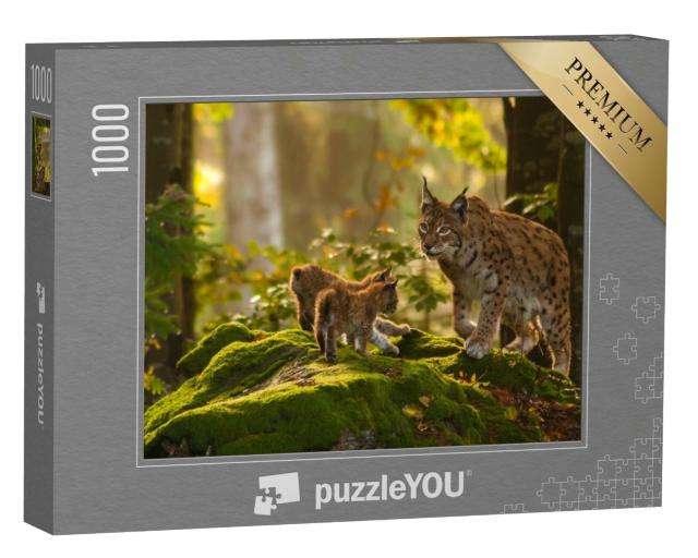 Puzzle de 1000 pièces « Jeunes lynx »