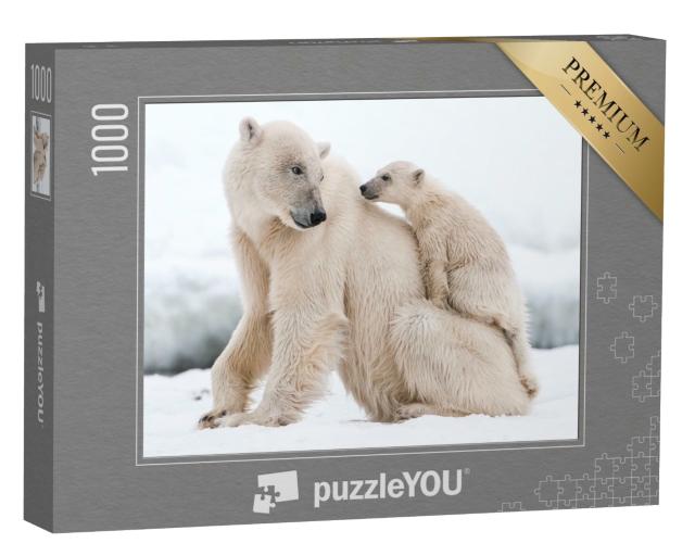 Puzzle de 1000 pièces « L'ours polaire, prédateur du nord de l'Arctique »