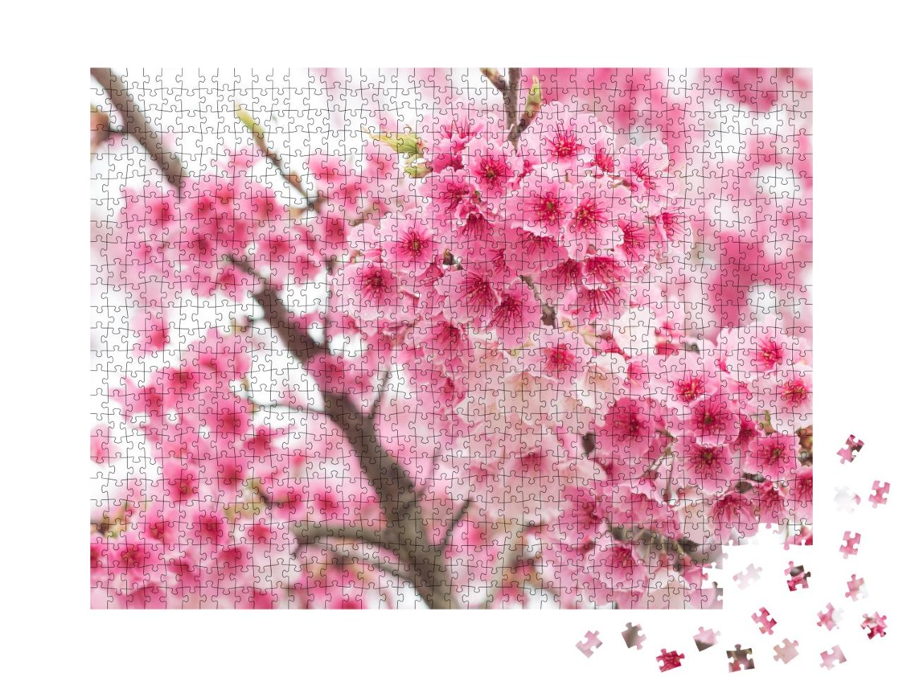 Puzzle de 1000 pièces « Magnifiques cerisiers en fleurs sur le mont Yangming, Taïwan »