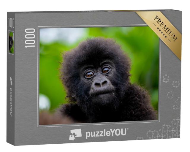 Puzzle de 1000 pièces « Un petit bébé gorille »