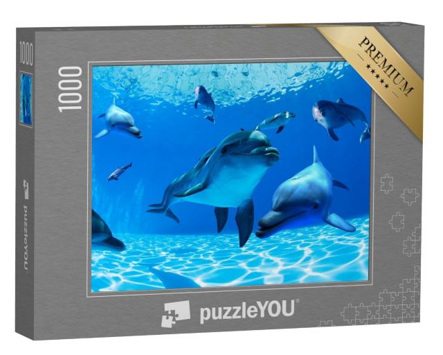 Puzzle de 1000 pièces « Les dauphins nagent dans les eaux profondes »