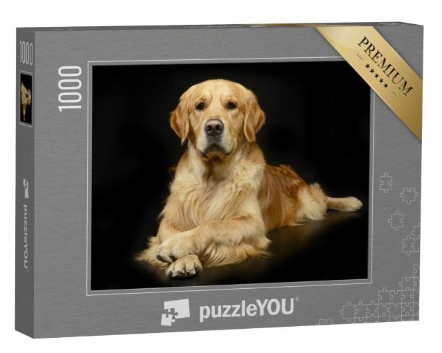 Puzzle de 1000 pièces « Golden retriever dans une pose photo parfaite »