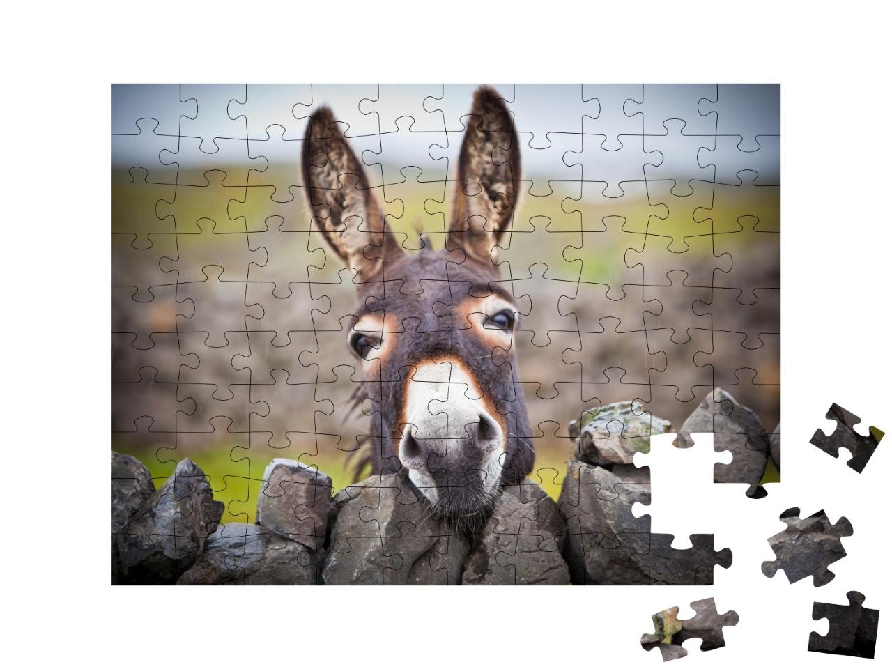 Puzzle de 100 pièces « Un âne curieux »