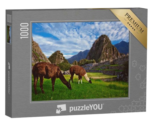 Puzzle de 1000 pièces « Deux lamas dans la citadelle inca de Machu Picchu »