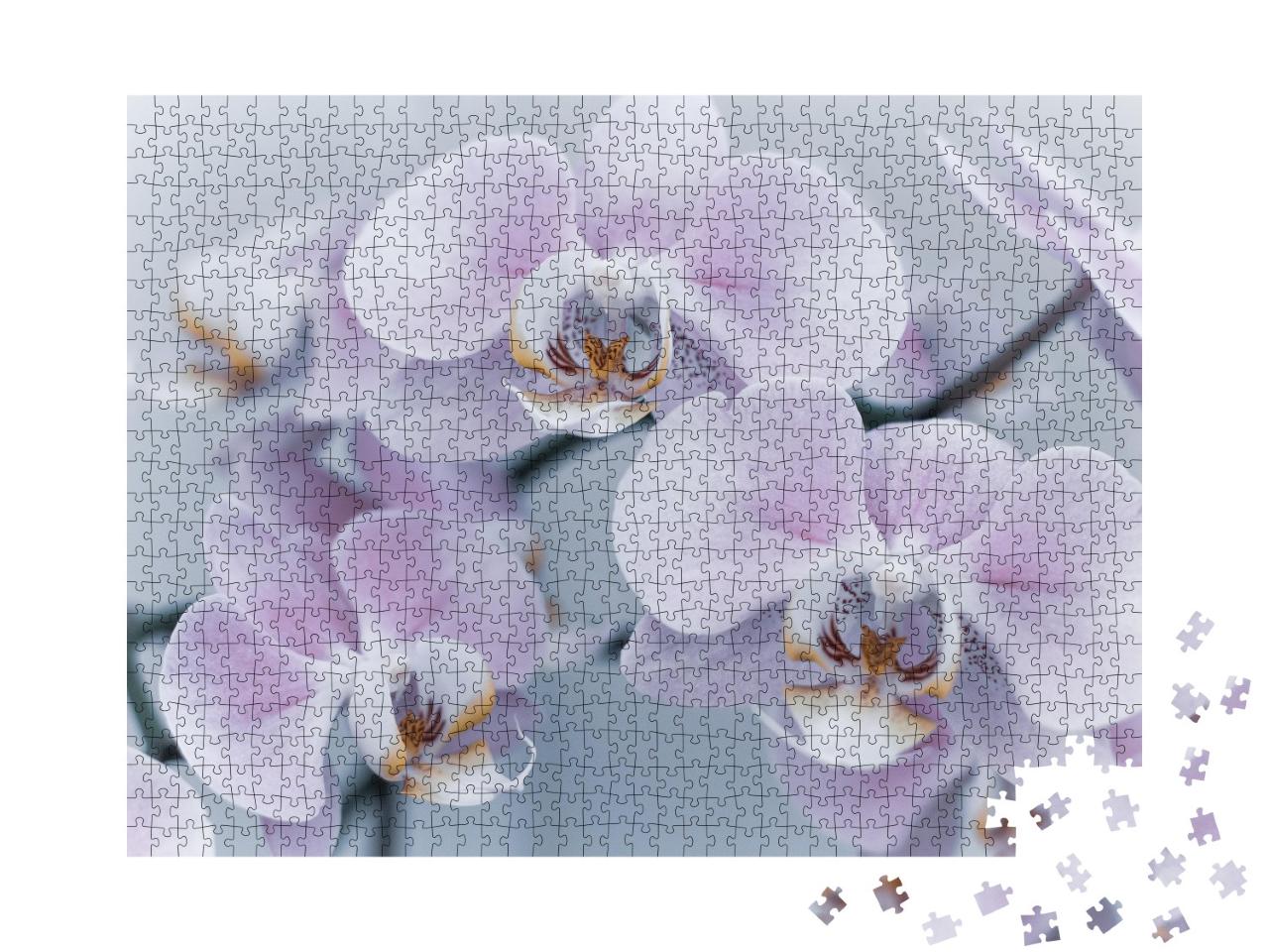 Puzzle de 1000 pièces « Belle orchidée délicate »