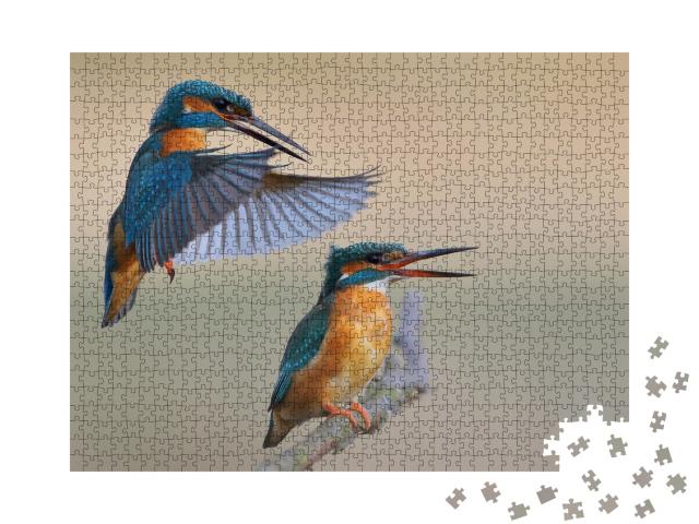 Puzzle de 1000 pièces « Martin-pêcheur »