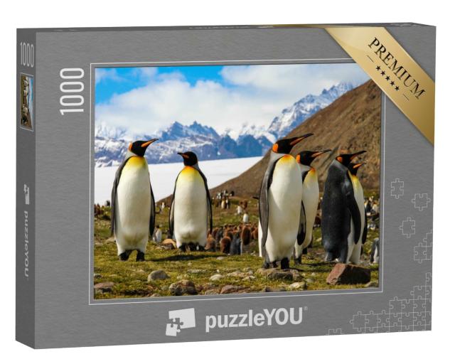 Puzzle de 1000 pièces « Manchots royaux sur l'île de Géorgie du Sud, Antarctique »