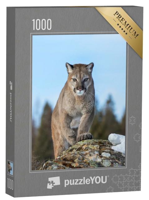 Puzzle de 1000 pièces « Puma ou lion de montagne en hiver du Montana, USA »