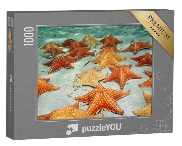 Puzzle de 1000 pièces « Des étoiles de mer sur le fond sableux de la mer »