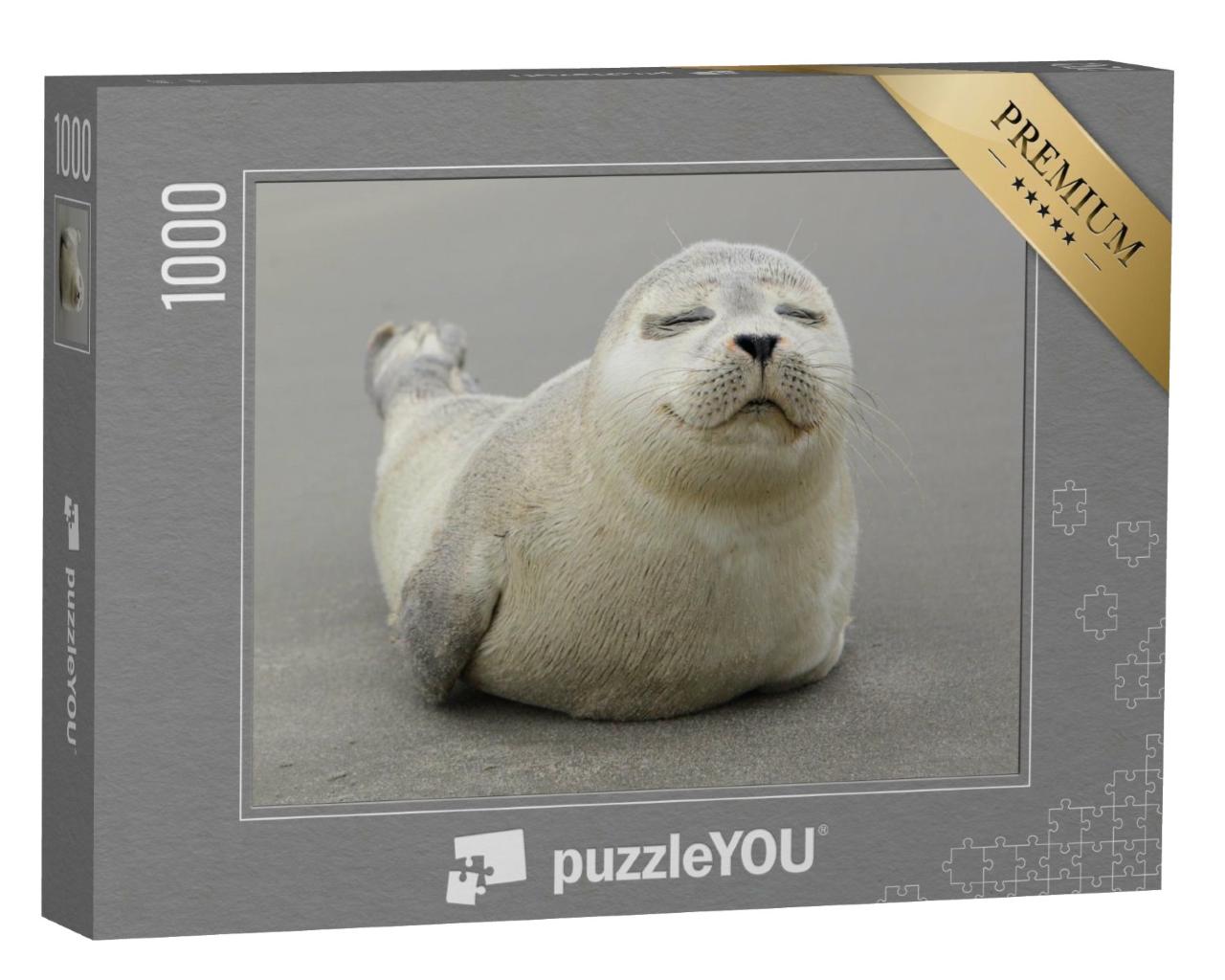 Puzzle de 1000 pièces « Adorable bébé phoque gris »
