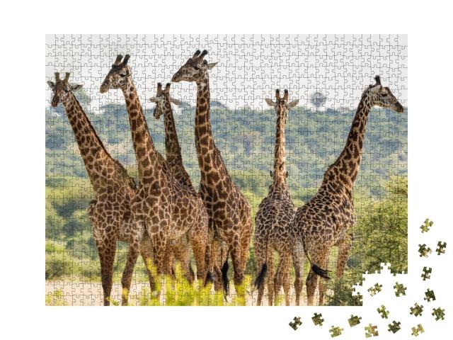 Puzzle de 1000 pièces « Troupeau de girafes dans le parc national de Tarangire, Tanzanie »