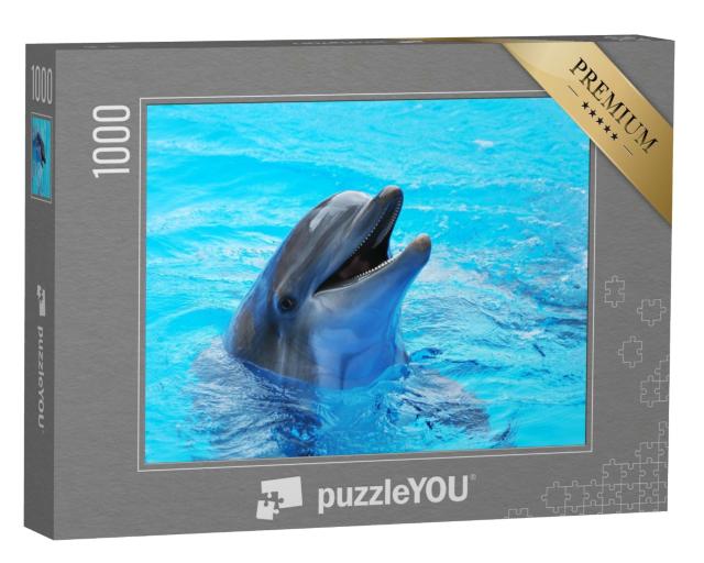 Puzzle de 1000 pièces « Des dauphins dans une piscine »