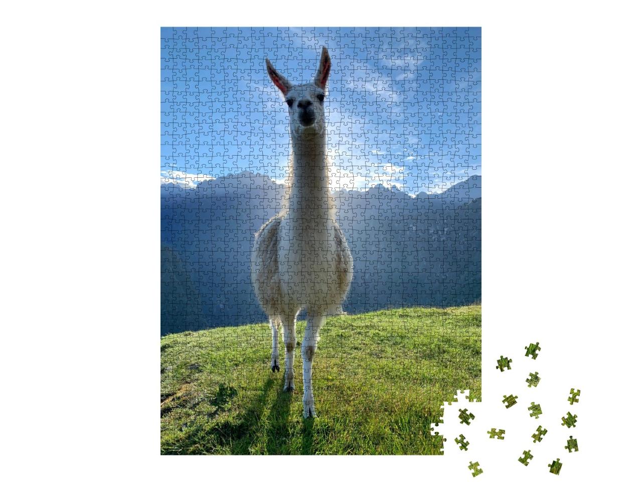 Puzzle de 1000 pièces « Lama blanc dans les Andes, Pérou »