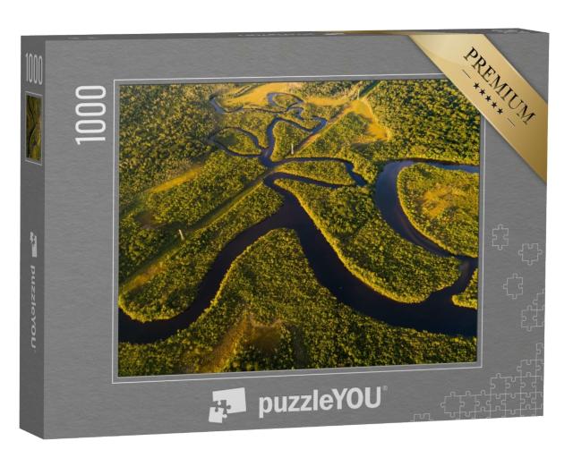 Puzzle de 1000 pièces « Vue aérienne de la forêt amazonienne au Brésil »