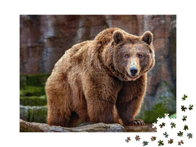 Puzzle de 1000 pièces « Un grand ours brun »