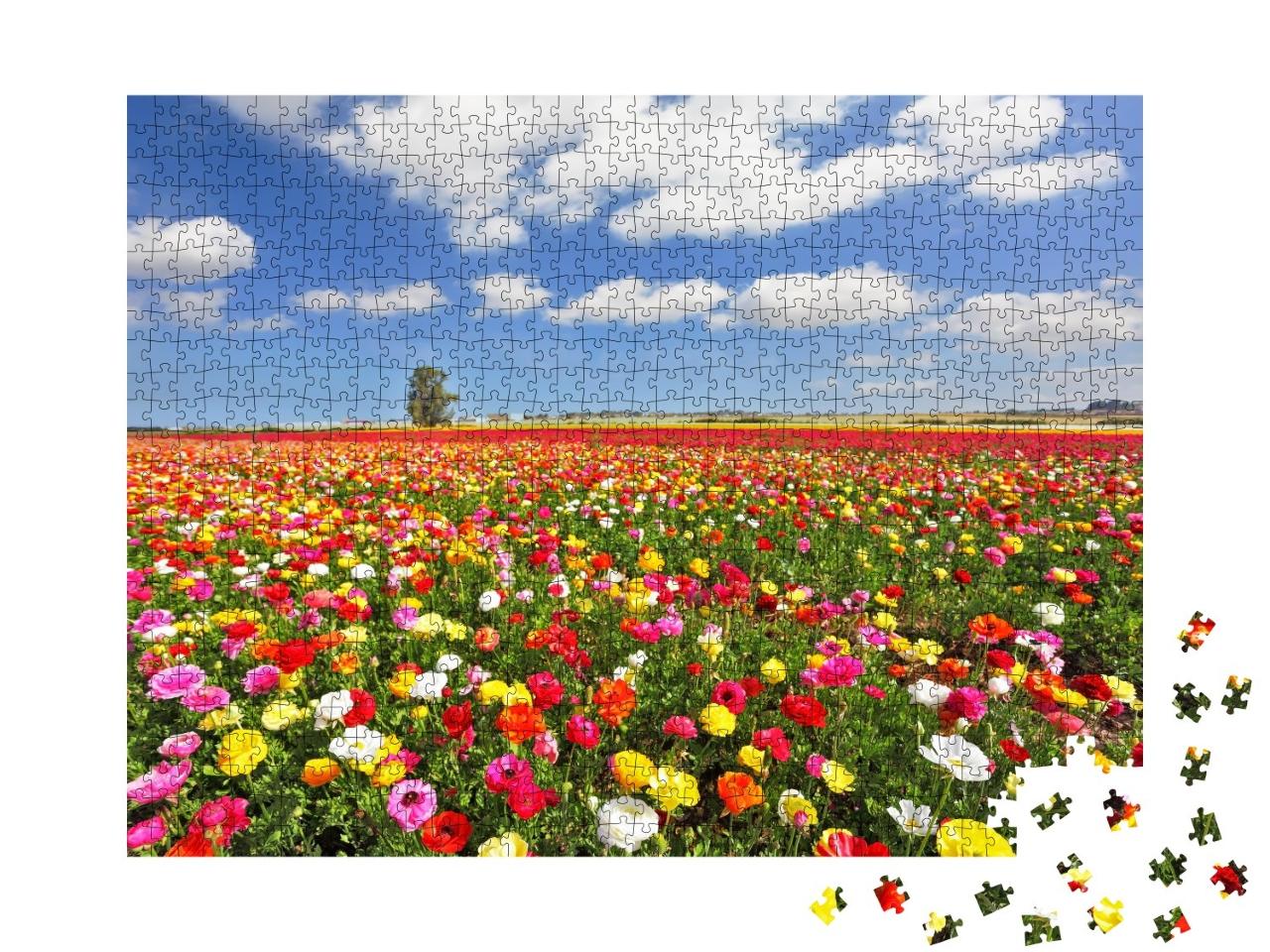 Puzzle de 1000 pièces « Les boutons d'or comme renoncules de jardin »