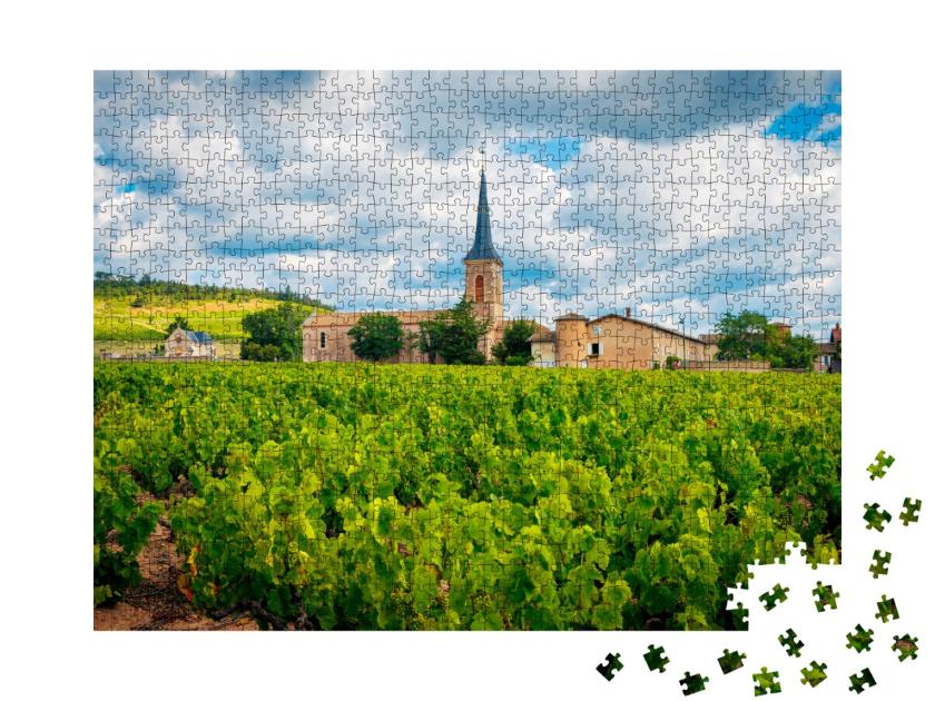 Puzzle de 1000 pièces « Raisin de Bourgogne et église - France »