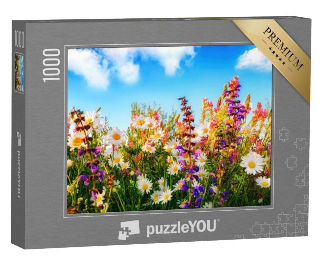 Puzzle de 1000 pièces « Des fleurs printanières colorées dans une prairie »