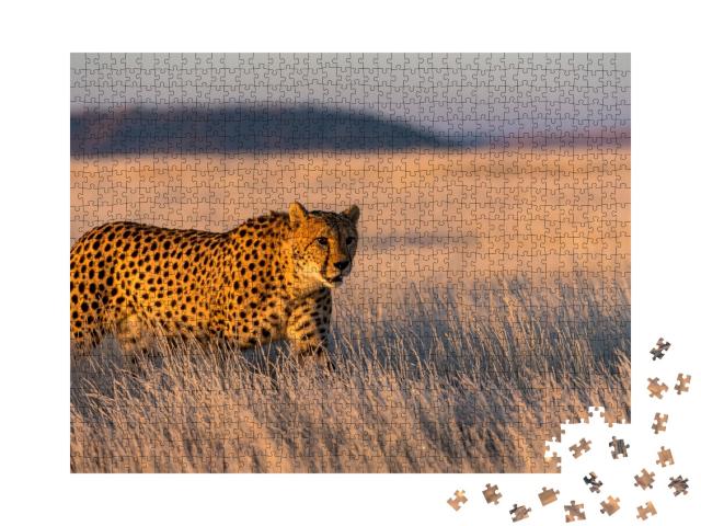 Puzzle de 1000 pièces « Un guépard parcourt son territoire »