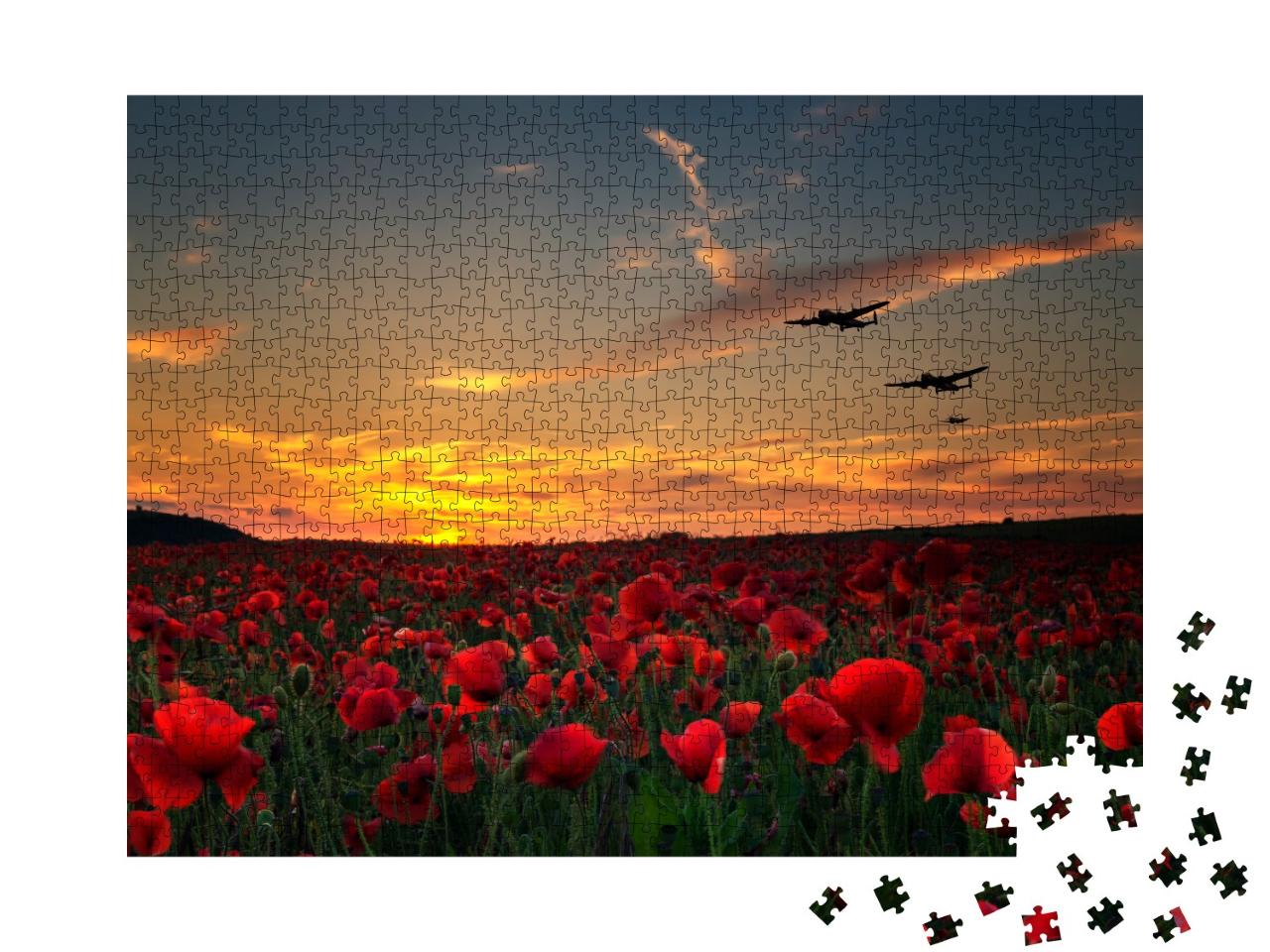 Puzzle de 1000 pièces « Journée du souvenir »