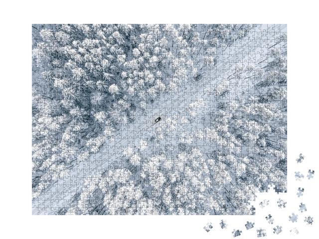 Puzzle de 1000 pièces « Un chemin forestier enneigé »