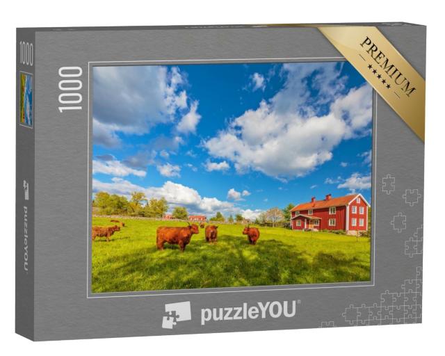 Puzzle de 1000 pièces « Bœufs des Highlands devant de vieilles fermes en bois, Smaland, Suède »