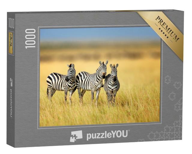 Puzzle de 1000 pièces « Trois zèbres dans le parc national du Kenya »