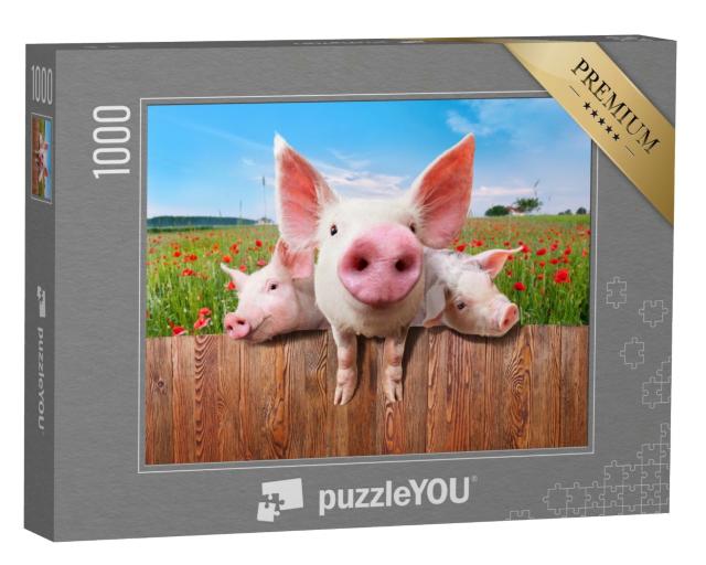 Puzzle de 1000 pièces « Les jeunes cochons de la ferme regardent par-dessus la clôture »